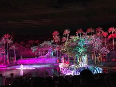 -三亚红色娘子军演艺公园景区