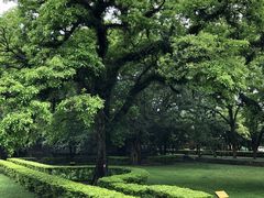 -桂林独秀峰王城景区