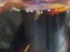 -清真·锦翔炝锅鱼(明德门店)