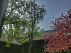 -天津戏剧博物馆