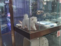 -FAELING PETS美天灵宠物(富力广场店)