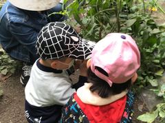 -万源龙顺度假庄园生态观光园