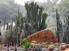 -深圳仙湖植物园
