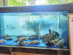 水产区-苏福记·海鲜佬(凤城四路店)