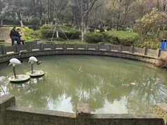 -峙山公园