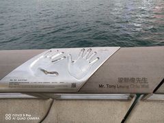 -星光大道