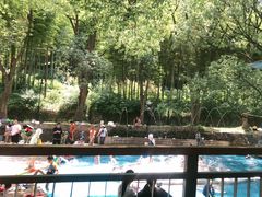 -东明山森林公园