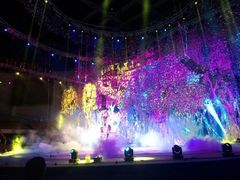 android_upload_pic-灵玲国际马戏城