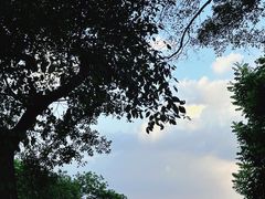-广州市白云山风景名胜区