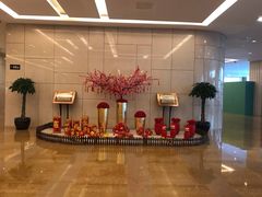 -国家会议中心大酒店