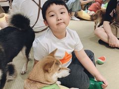 -逗柴咖啡屋·狗咖猫咖宠物桌游