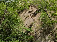 -大岭沟猕猴桃谷风景区