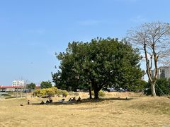 -风云岭森林公园