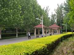 -丰台花园