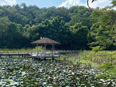 -广州莲花山旅游区