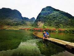 -靖西鹅泉风景区