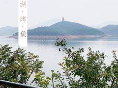 -望湖烤鱼