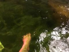 -泉城欧乐堡戏水湾艺术养生温泉