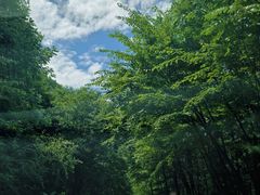 -陕西省红河谷森林公园