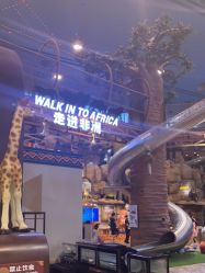 -卡通尼·Safari非洲探索乐园·生日会(金桥国际商业广场店)