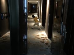 -淮安曙光国际大酒店(大运河广场花街店)