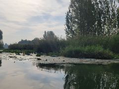 -白洋淀风景区