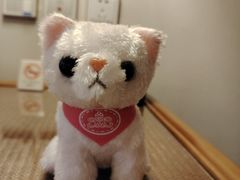 -惠州康帝国际酒店