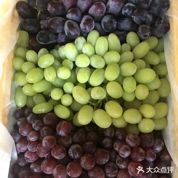 来自田园的新鲜直送！水果自由！！！
