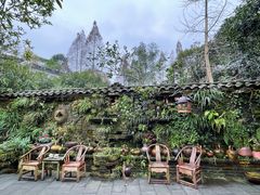 -青城甲(青城山店)