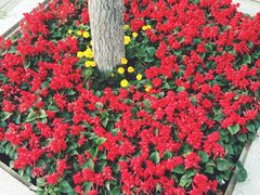 -济南国际园博园