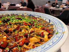 -新概念来凤鱼(璧山店)