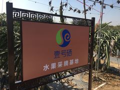 -尚果生态采摘园