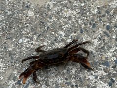 -东天目山风景区