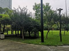 -温江公园