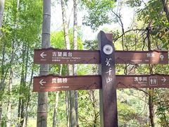-莫干山风景区