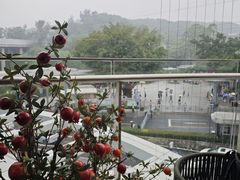 -点都德(广州白云山景区南门店)