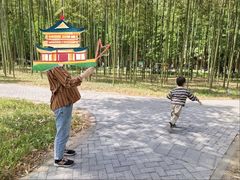 -黄海国家森林公园