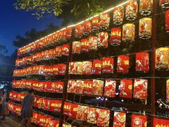 -光明农场大观园