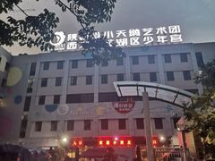 -陕西省小天鹅艺术团