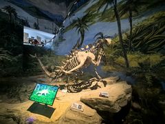 -自贡恐龙博物馆