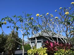 -巴厘岛悦榕庄Jumana露台餐厅