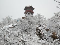 -北京凤凰岭