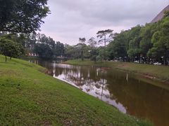 -东莞松山湖凯悦酒店