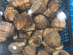 -和源祥·日照菜扛把子(万平口一店)