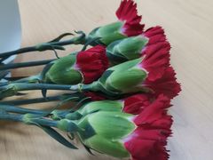 -斯坦星球AI编程·机器人科创·科学实验·信奥·思维·STEM·积木拼搭·竞赛考级(浦东联洋广场大拇指龙阳御桥中心)