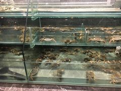 -星伦多自助料理(花山金鹰店)