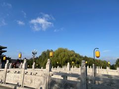 -洛阳市隋唐城遗址植物园