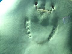 -福州罗源湾海洋世界旅游区