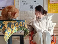 -平行世界·猫咖(首经贸店)