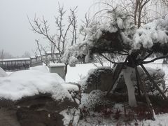 -西海子公园